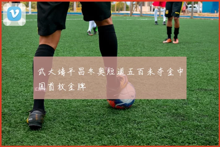 武大靖平昌冬奥短道五百米夺金中国首枚金牌