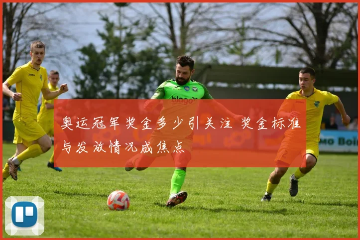 奥运冠军奖金多少引关注 奖金标准与发放情况成焦点
