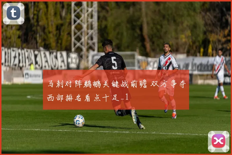 马刺对阵鹈鹕关键战前瞻 双方争夺西部排名看点十足_1