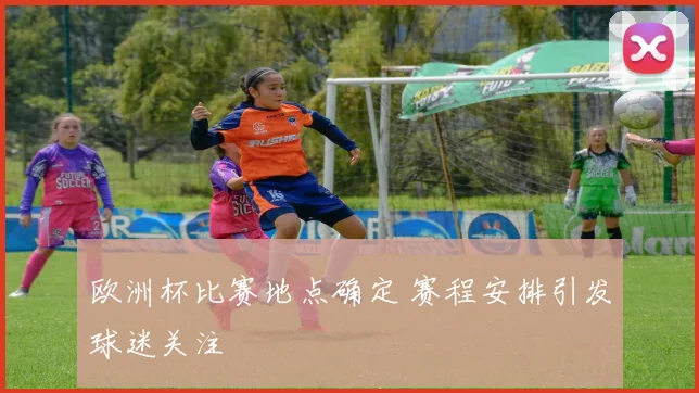 欧洲杯比赛地点确定 赛程安排引发球迷关注