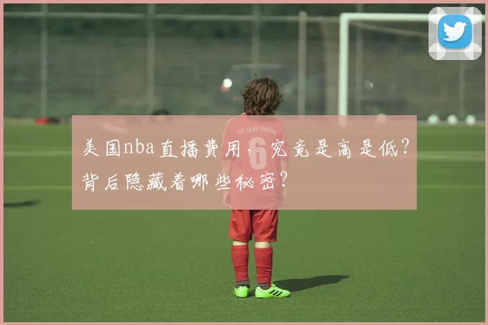 美国nba直播费用，究竟是高是低？背后隐藏着哪些秘密？