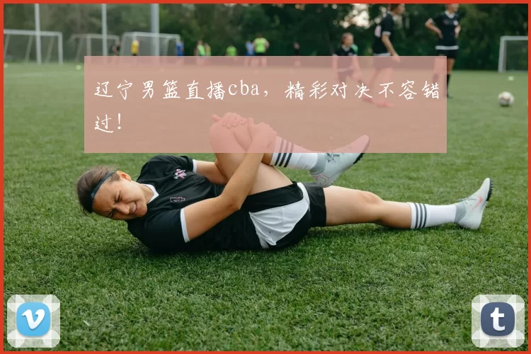 辽宁男篮直播cba，精彩对决不容错过！