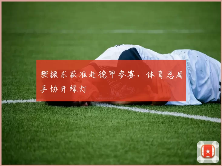 樊振东获准赴德甲参赛，体育总局乒协开绿灯