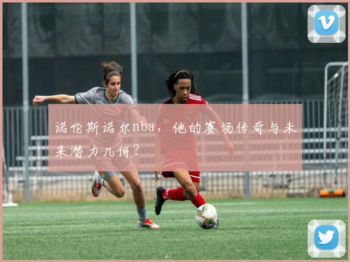 诺伦斯诺尔nba，他的赛场传奇与未来潜力几何？