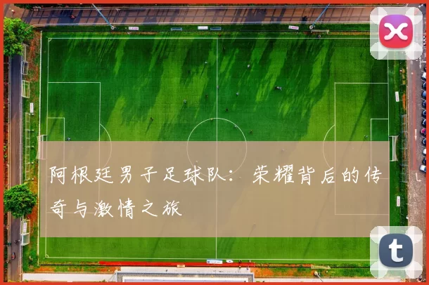 阿根廷男子足球队：荣耀背后的传奇与激情之旅